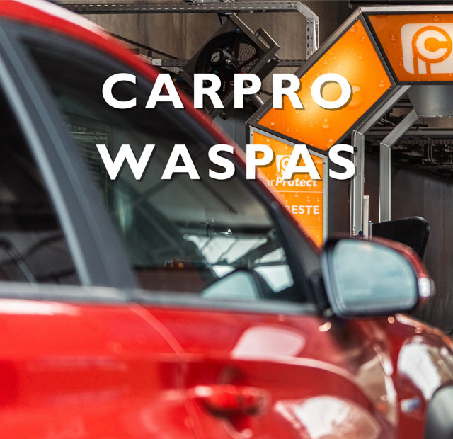 Waspas